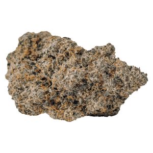 88518874 e793 4c7c ba4e ad0d3aec9c18 1.jpg